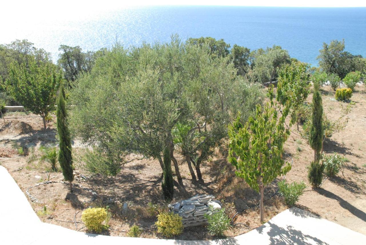 Appartement Vue Sur Mer Santa-Maria-di-Lota Exterior photo