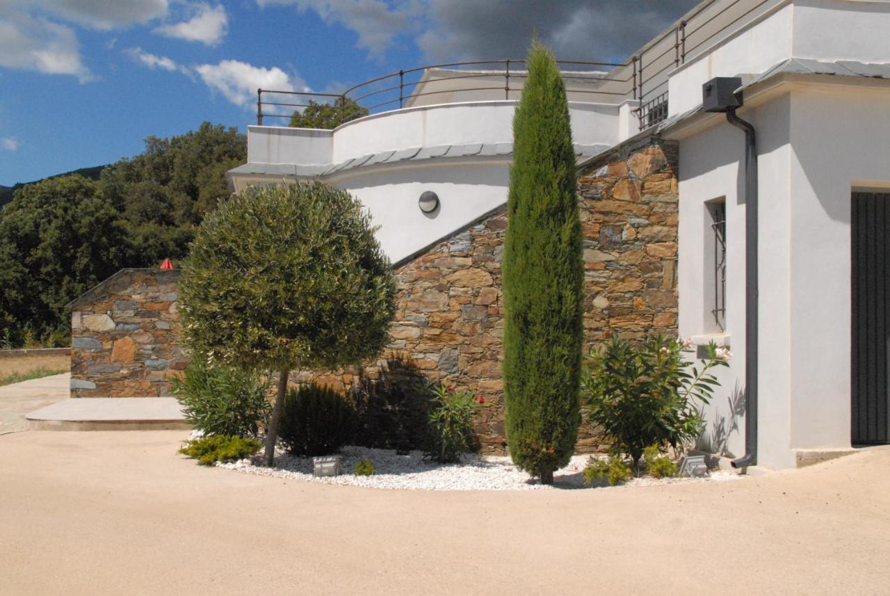 Appartement Vue Sur Mer Santa-Maria-di-Lota Exterior photo